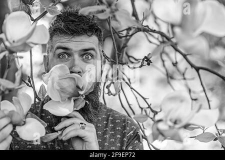 L'hipster apprécie l'arôme de la fleur. Homme barbu avec des coupes de cheveux fraîches de fleur de magnolia. Concept de parfum. Homme avec la barbe et la moustache excités Banque D'Images