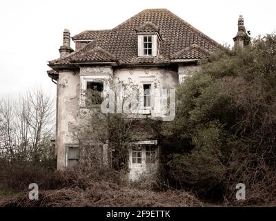 Une partie abandonnée a ruiné la maison perdue au milieu des arbres et des arbustes Banque D'Images