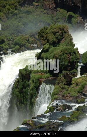 Chutes d'Iguazu, l'une des sept nouvelles merveilles de la nature. Patrimoine mondial de l'UNESCO. Vue du côté argentin. Banque D'Images