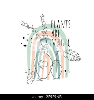 Les plantes de citation inspirantes minimalistes sont magiques avec l'art de ligne noire eucalyptus dans un vase et un arrière-plan abstrait boho arc-en-ciel Illustration de Vecteur