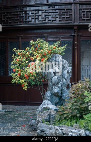 Paysage et bâtiments dans le jardin de retraite de couple, un jardin chinois classique à Suzhou, en Chine Banque D'Images