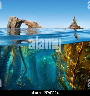 Demi en dessous et au-dessus de la photo de l'Arc Anacapa et varech, Parc national des îles Anglo-Normandes, Réserve marine. Banque D'Images