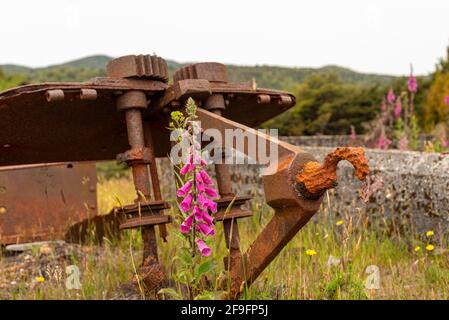 Rebuts dans le paysage d'une ancienne usine minière dans la ville fantôme de Waiuta, île du Sud de la Nouvelle-Zélande Banque D'Images