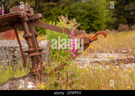 Rebuts dans le paysage d'une ancienne usine minière dans la ville fantôme de Waiuta, île du Sud de la Nouvelle-Zélande Banque D'Images