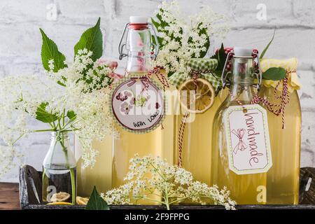 Différentes bouteilles de sirop de sureau maison devant un mur blanc, décorées de fleurs de sureau et de tranches de citron séchées Banque D'Images