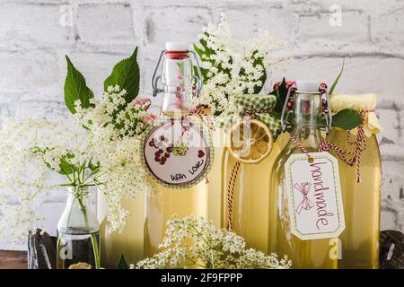 Différentes bouteilles de sirop de sureau maison devant un mur blanc, décorées de fleurs de sureau et de tranches de citron séchées Banque D'Images