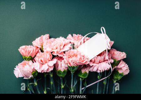 Bouquet d'œillets roses avec étiquette vierge sur fond vert foncé. Banque D'Images