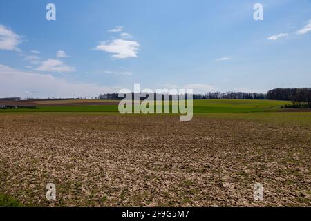 Champs agricoles à flanc de colline (néerlandais: Heuvelland) dans le sud des pays-Bas avec une vue imprenable sur le paysage pendant la saison du printemps Banque D'Images