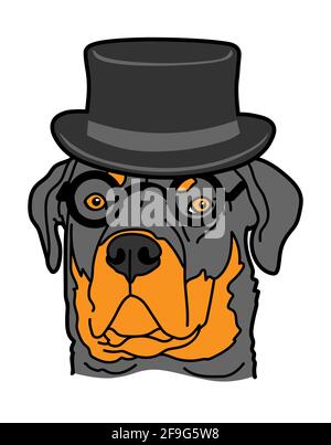 Rottweiler chien race portrait d'animal de compagnie porter un chapeau et des lunettes de vue isolé sur fond blanc, illustration vectorielle. Illustration de Vecteur