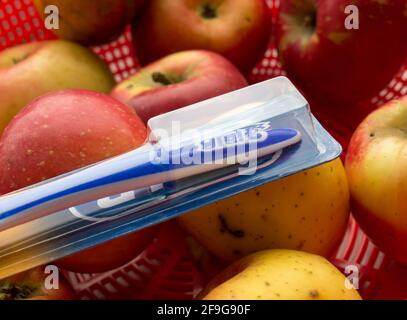 Brosse à dents Oral-B. Braun GmbH est une société allemande de produits de consommation fondée en 1921 et basée à Kronberg im Taunus. Banque D'Images