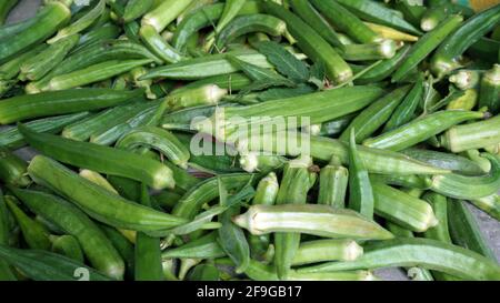 Lady's Fingers est un autre nom anglais pour okra, les gousses de graines mucilagineuses d'une plante de la famille hollyhock. Banque D'Images