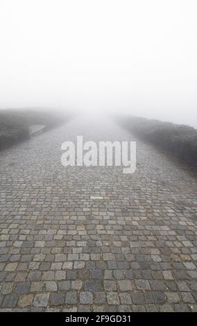 Revêtement de la route en pierre avec du brouillard devant, à la verticale Banque D'Images