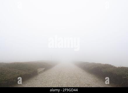 Revêtement de la route en pierre avec du brouillard devant, à la verticale Banque D'Images