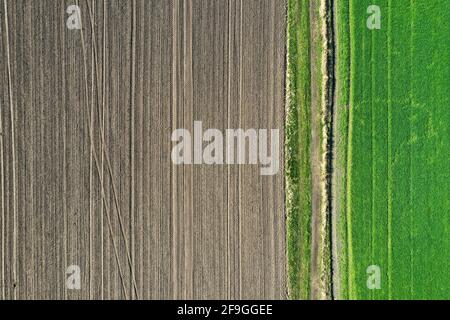 Champ, terres agricoles vues d'en haut, paysage rural. Banque D'Images