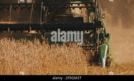 Vue rapprochée des épis d'un champ de blé mûr. Une grande moissonneuse-batteuse verte avec barre de coupe prête à récolter les récoltes pendant la journée. Nuages de poussière en arrière-plan. Banque D'Images