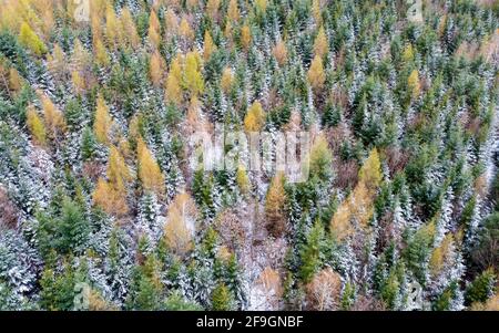 Image de drone, Bade-Wurtemberg, Schurwald, forêt mixte, Allemagne Banque D'Images