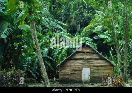 Cabane dans la forêt - Ile Sainte Marie - Madagascar 1982 (photo sur film photographique) Banque D'Images