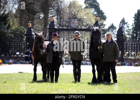 Sandringham, Royaume-Uni. 17 avril 2021. Hannah Whyman-Naveh avec Shadow (26), Carole Fox, et Julie Southwell avec leurs Fell Ponies Shadow (26, à gauche) et Yogi (16) viennent aux portes de Norwich à l'extérieur de la maison Sandringham à Norfolk, pour rendre hommage au prince Philip Duke d'Édimbourg, le jour de ses funérailles, le 17 avril 2021 crédit : Paul Marriott/Alay Live News Banque D'Images