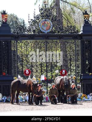 Sandringham, Royaume-Uni. 17 avril 2021. Hannah Whyman-Naveh avec Shadow (26), Carole Fox, et Julie Southwell avec leurs Fell Ponies Shadow (26, à gauche) et Yogi (16) viennent aux portes de Norwich à l'extérieur de la maison Sandringham à Norfolk, pour rendre hommage au prince Philip Duke d'Édimbourg, le jour de ses funérailles, le 17 avril 2021 crédit : Paul Marriott/Alay Live News Banque D'Images