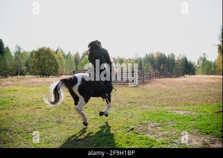 Une jolie fille est venue au club équestre du pays et fait un cheval à travers les champs à l'automne. Banque D'Images