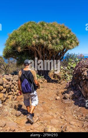 Un photographe se promenant et prenant des photos du sentier de Las Tricias à Garafia dans le nord de l'île de la Palma, îles Canaries Banque D'Images