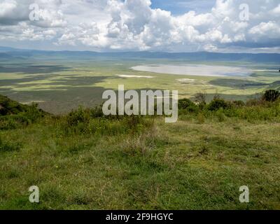 Cratère de Ngorongoro, Tanzanie, Afrique - 1er mars 2020 : vue panoramique du cratère de Ngorongoro depuis le haut Banque D'Images