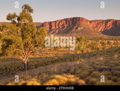 Chaîne de Bungle Bungle vue depuis le belvédère de Kungkalahayi, parc national de Purnululu, Australie occidentale Banque D'Images