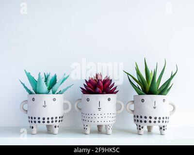 Trois cute face céramique pots de plantes avec rouge et vert succulent plantes sur étagère en bois blanc isolé sur fond blanc mur avec espace de copie. Petit Banque D'Images