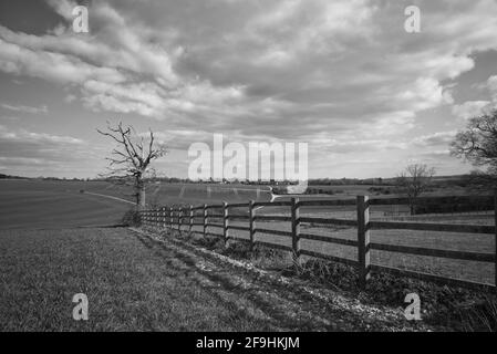 Une partie de la campagne britannique dans les champs de Knebworth En noir et blanc, forme Beaux-Arts Banque D'Images