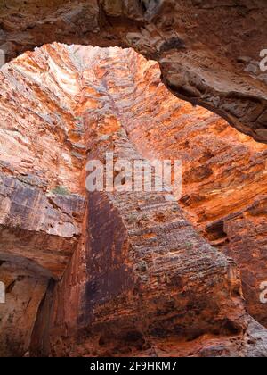 Gorges de la cathédrale, le Parc National de Purnululu, Australie occidentale Banque D'Images