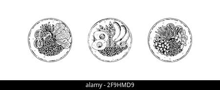 Ensemble de bols dessinés à la main avec céréales et salade. Illustration vectorielle dans le style d'esquisse Illustration de Vecteur