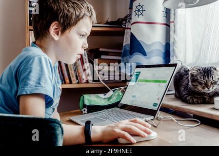 Garçon d'école utilisant son ordinateur portable et assis à son bureau à la maison avec un chat d'animal de compagnie dormant sur la table, les enfants utilisant l'ordinateur Banque D'Images