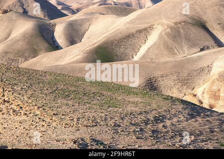 Montagnes rocheuses sablonneuses du désert de Judée. Israël Banque D'Images