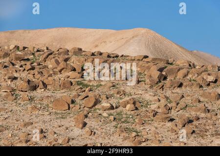 Montagnes rocheuses sablonneuses du désert de Judée. Israël Banque D'Images