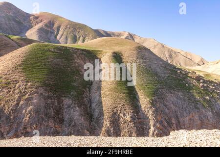 Montagnes rocheuses sablonneuses du désert de Judée. Israël Banque D'Images