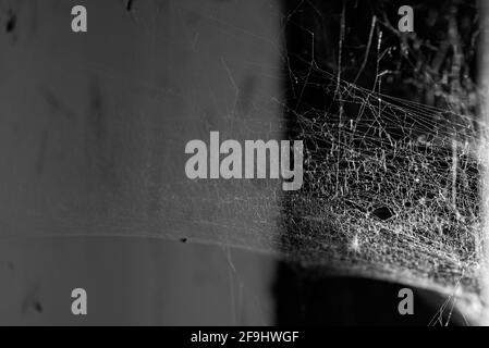 Toile d'araignée naturelle dans un coin de maison abandonnée, salle avec mur sale et fenêtre, image en noir et blanc Banque D'Images