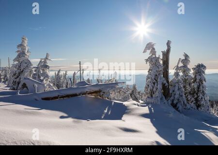 Paysage en hiver sur le Dreisesselberg. Bavarian Forest, Bavière, Allemagne Banque D'Images