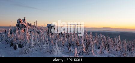 Paysage en hiver sur le Dreisesselberg. Bavarian Forest, Bavière, Allemagne Banque D'Images