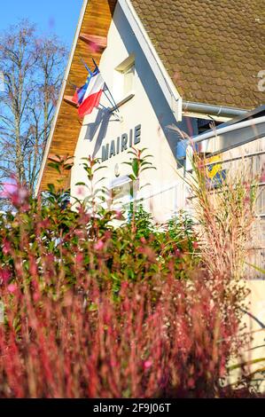 Portrait angle de côté de la mairie Marie, avec une belle photo du buisson de la fleur avec vue matinale à Saitn andre le gaz Banque D'Images