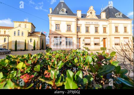 Une photo POV incroyable de l'Hôtel de ville, prise avec des feuilles de jardin vert vif le matin au pont de beauvoisin Banque D'Images