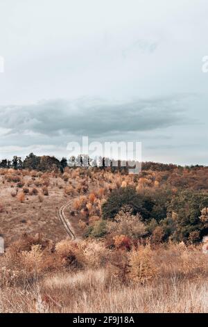 Sentier de randonnée sinueux d'automne à travers les forêts, belle vue sur la nature Banque D'Images
