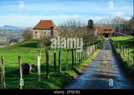 Chemin rural menant à une grange. Banque D'Images