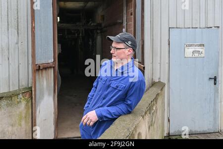 19 avril 2021, Brandebourg, Letschin: Karsten Ilse, agriculteur, se tient devant sa grange vide tôt le matin après la collecte des derniers porcs d'engraissement. En raison de la situation problématique pour les éleveurs de porcs dans les zones de restriction de la PPA, l'agriculteur Karsten Ilse a cédé après 24 ans son élevage de porcs d'engraissement. Ce matin, Ilse, l'un des rares éleveurs de porcs du district de Märkisch-Oderland, a chargé ses 36 derniers porcs d'engraissement et les a envoyés lors de leur dernier voyage à Kellinghusen. L'abattoir du Schleswig-Holstein est le seul à pouvoir abattre des porcs domestiques de l'ASP r Banque D'Images