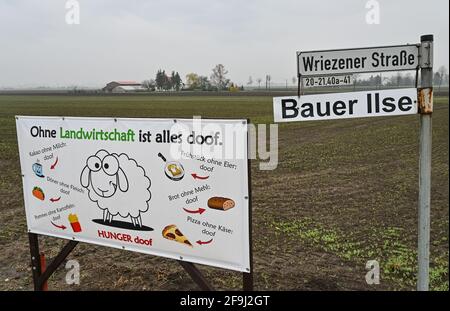 19 avril 2021, Brandebourg, Letschin: Une affiche avec l'inscription "Ohne Landwirtschaft ist alles doof" (sans agriculture, tout est stupide) se tient à l'entrée de la ferme de l'agriculteur Ilse. En raison de la situation problématique pour les éleveurs de porcs dans les zones de restriction de la PPA, l'agriculteur Karsten Ilse a cédé après 24 ans son élevage de porcs d'engraissement. Ce matin, Ilse, l'un des rares éleveurs de porcs du district de Märkisch-Oderland, a chargé ses 36 derniers porcs d'engraissement et les a envoyés lors de leur dernier voyage à Kellinghusen. L'abattoir du Schleswig-Holstein est le seul à vouloir abattre dom Banque D'Images