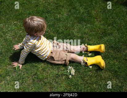 Un tout-petit garçon en bottes et shorts en caoutchouc jaune vif se repose sur l'herbe. Vue de dessus. À proximité se trouve un petit bouquet de pâquerettes, recueillies avec amour f Banque D'Images