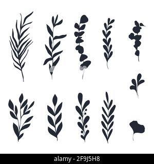 Ensemble botanique de branches et de feuilles dessinées à la main. Illustration de Vecteur