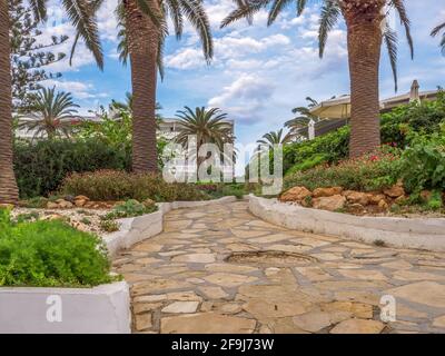 Chemin pavé de tuiles rocheuses menant de la mer Méditerranée et de la plage de Nissi au bâtiment blanc d'un hôtel. Palmiers, arbustes verts et fleurs rouges. Banque D'Images