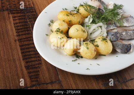 Poisson de hareng avec de jeunes boules de pommes de terre sur une assiette blanche. fond en bois. Banque D'Images