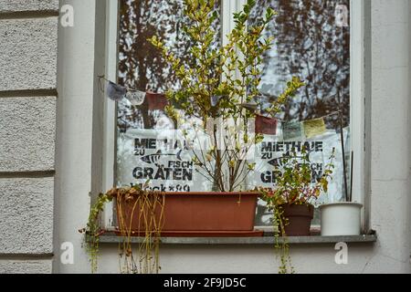 Miethaie zu Fischgräten, Plakat, Fenster, Kreuzberg, Berlin, Allemagne Banque D'Images