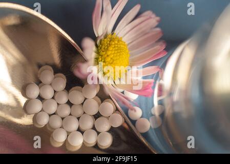 Globules d'homéopathie, verre et fleur de Marguerite sur fond bleu. Banque D'Images